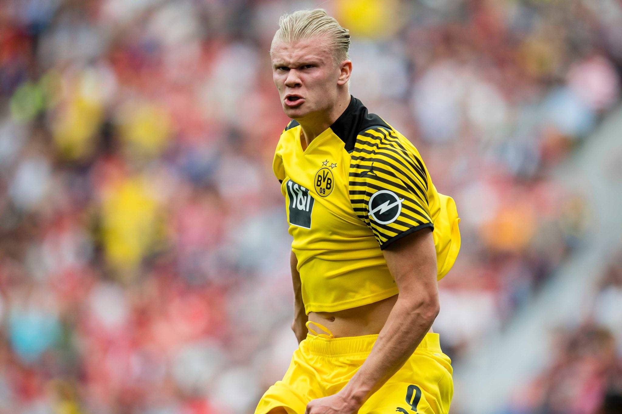 火箭今日战国王：亚当斯可以出战，奥科吉顶替谢泼德首发（火箭今日迎战国王：亚当斯确认出场，奥科吉替谢泼德首发）